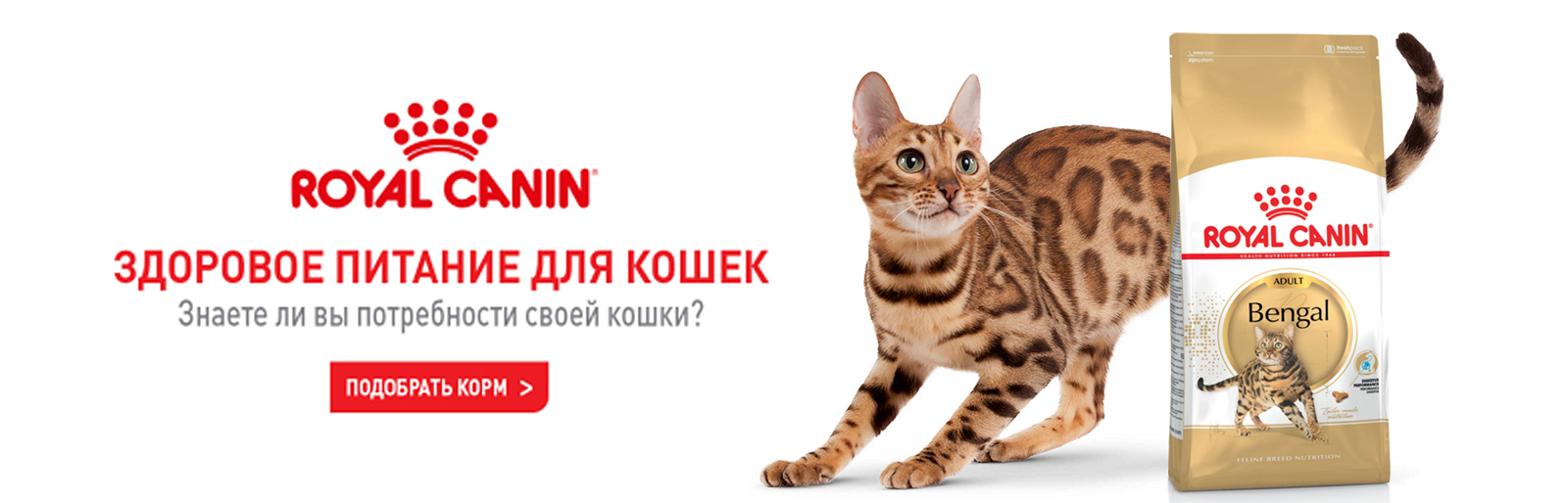 Корм для кошек