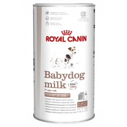 BABYDOG MILK