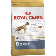 BOXER ADULT