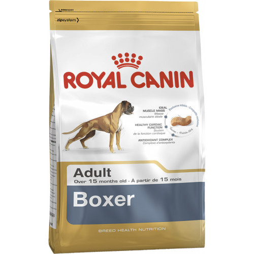BOXER ADULT