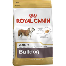 
									BULLDOG ADULT