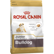 
									BULLDOG JUNIOR