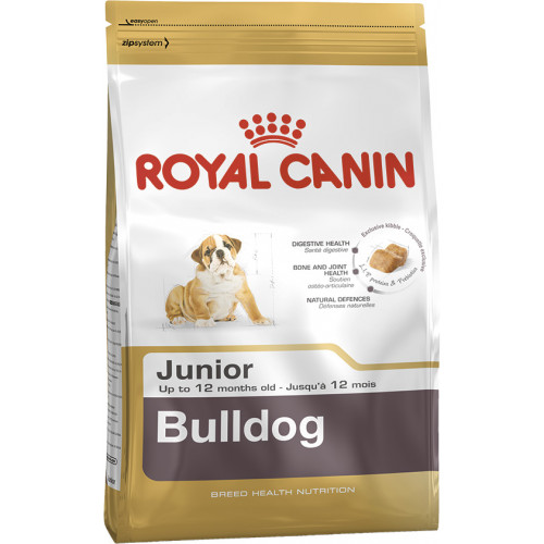 BULLDOG JUNIOR