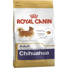 CHIHUAHUA ADULT