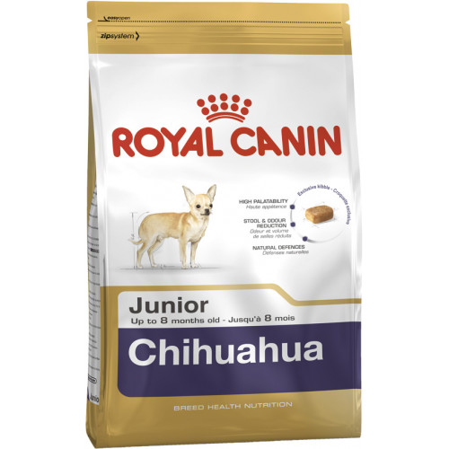 CHIHUAHUA JUNIOR