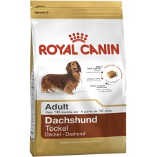 
									DACHSHUND ADULT