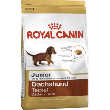 
									DACHSHUND JUNIOR