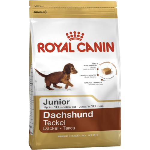 DACHSHUND JUNIOR