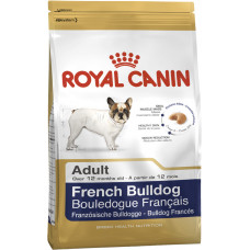 FRENCH BULLDOG ADULT