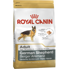 GERMAN SHEPHERD ADULT