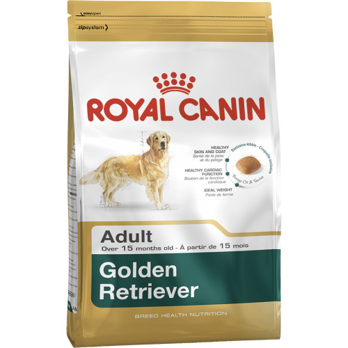 GOLDEN RETRIEVER ADULT