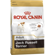 
									JACK RUSSEL ADULT