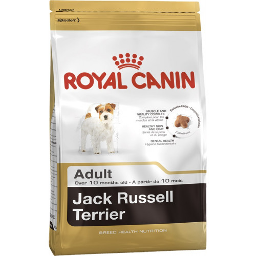 JACK RUSSEL ADULT