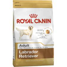 LABRADOR ADULT