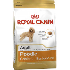 POODLE ADULT