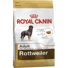 ROTTWEILER ADULT