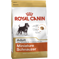 
									SCHNAUZER ADULT