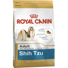 SHIH TZU ADULT